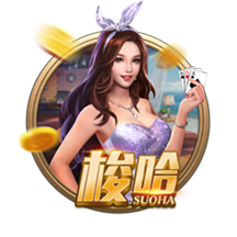 麻将来了桌面版